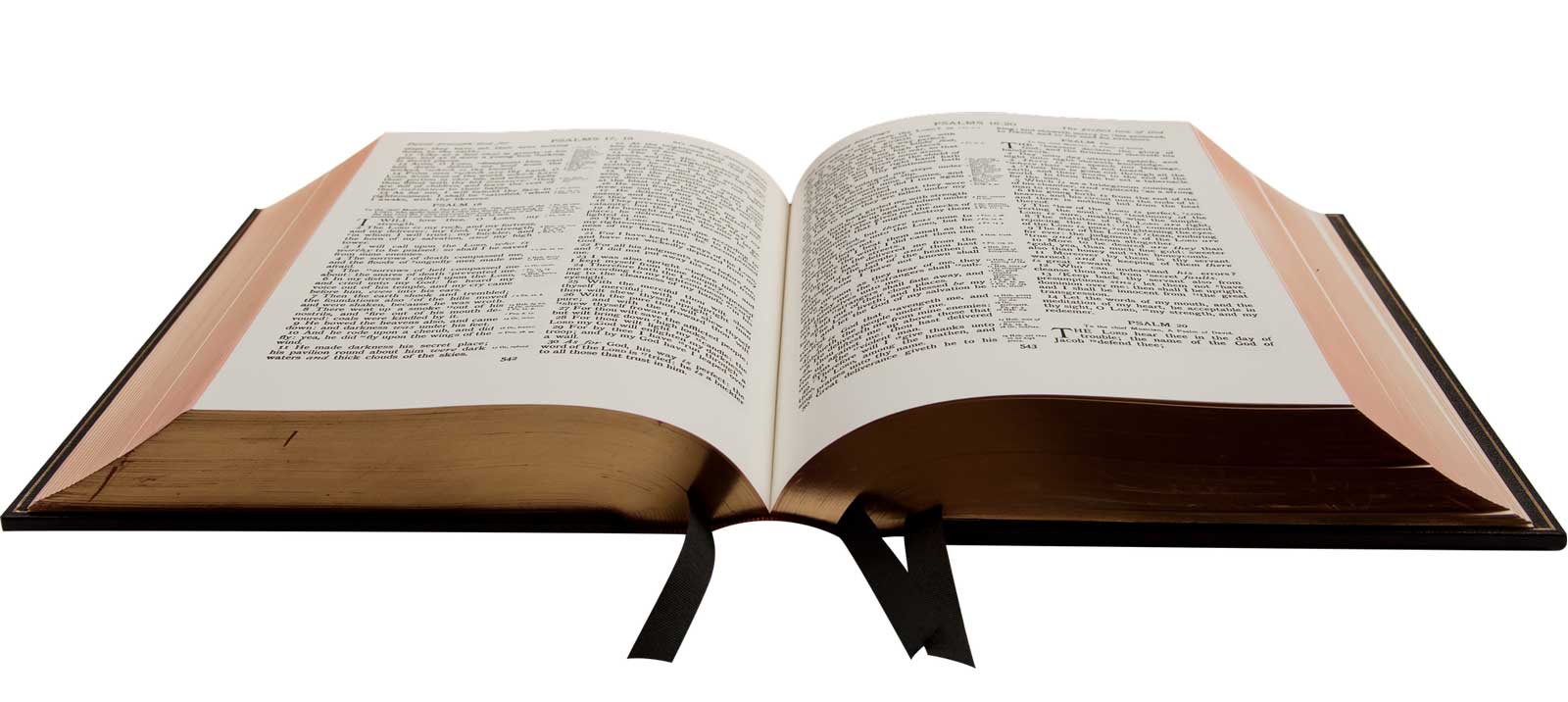 Bibel